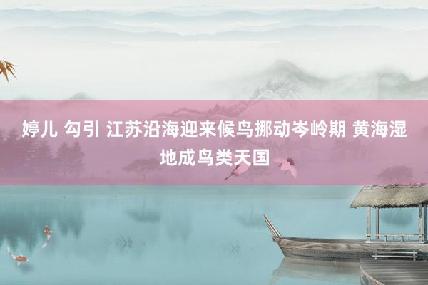 婷儿 勾引 江苏沿海迎来候鸟挪动岑岭期 黄海湿地成鸟类天国