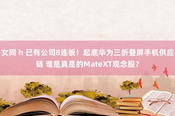 女同 h 已有公司8连板！起底华为三折叠屏手机供应链 谁是真是的MateXT观念股？