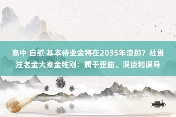 高中 自慰 基本待业金将在2035年浪掷？社贯注老金大家金维刚：属于歪曲、误读和误导