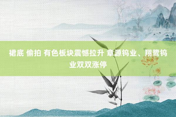 裙底 偷拍 有色板块震憾拉升 章源钨业、翔鹭钨业双双涨停