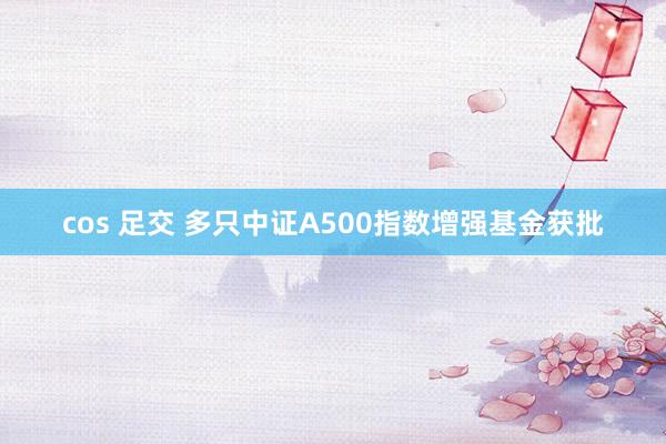 cos 足交 多只中证A500指数增强基金获批