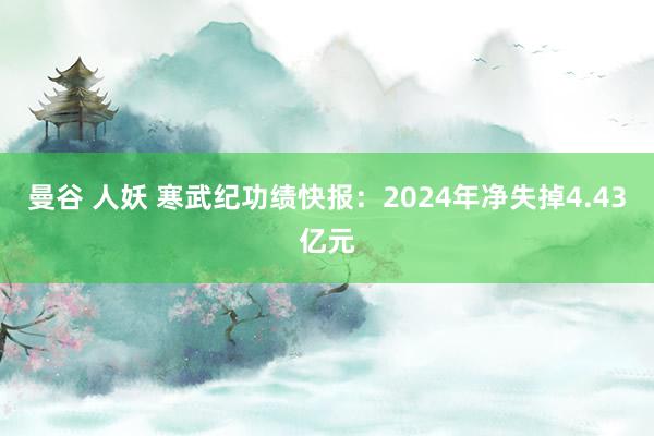 曼谷 人妖 寒武纪功绩快报：2024年净失掉4.43亿元