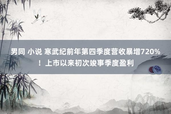 男同 小说 寒武纪前年第四季度营收暴增720%！上市以来初次竣事季度盈利