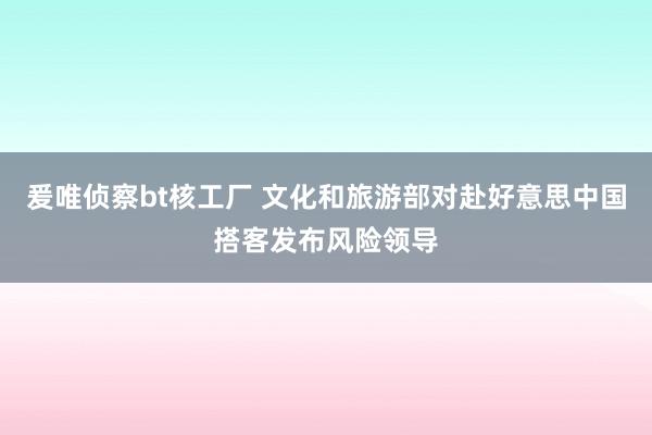 爰唯侦察bt核工厂 文化和旅游部对赴好意思中国搭客发布风险领导