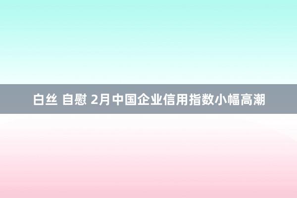 白丝 自慰 2月中国企业信用指数小幅高潮