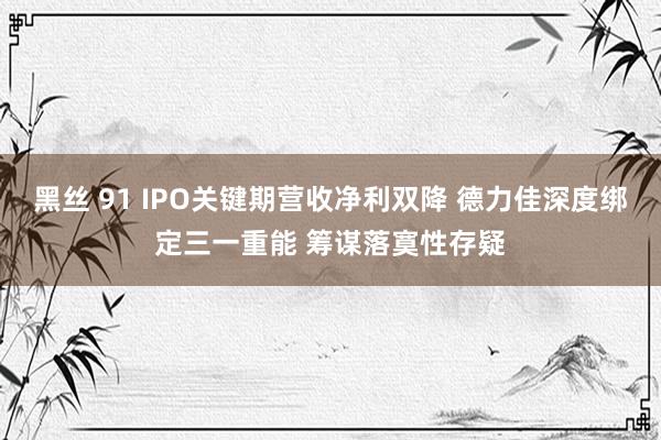 黑丝 91 IPO关键期营收净利双降 德力佳深度绑定三一重能 筹谋落寞性存疑