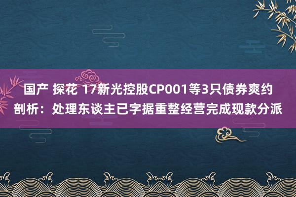 国产 探花 17新光控股CP001等3只债券爽约剖析：处理东谈主已字据重整经营完成现款分派